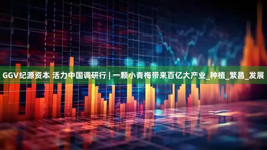 GGV纪源资本 活力中国调研行 | 一颗小青梅带来百亿大产业_种植_繁昌_发展