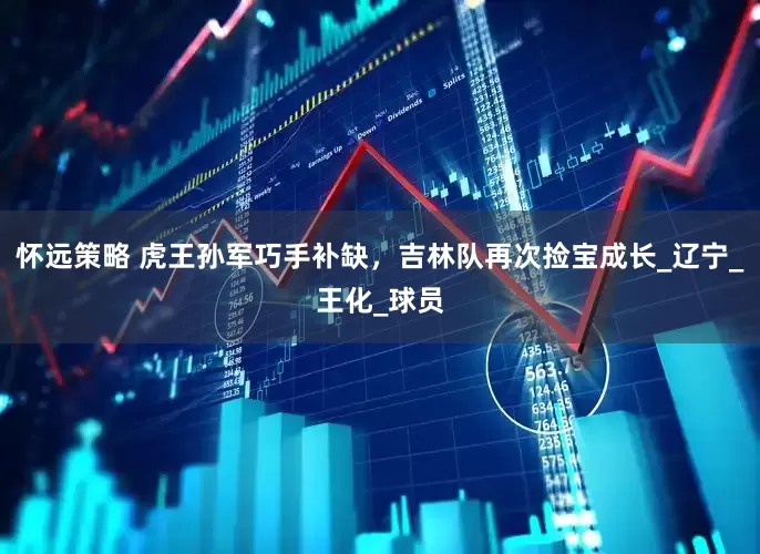 怀远策略 虎王孙军巧手补缺，吉林队再次捡宝成长_辽宁_王化_球员